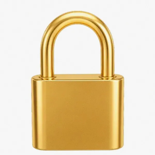 Orange padlock — Garrison Bet