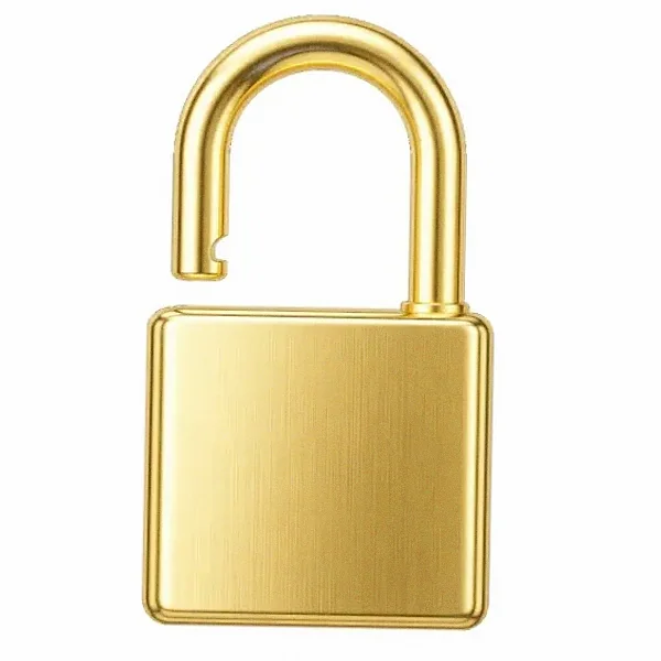 Padlock — Garrison Bet